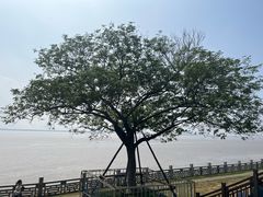-观潮胜地公园