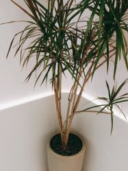 -LJOY丽锦造型·烫发染发