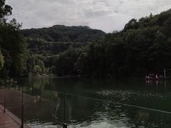 -缙云山景区