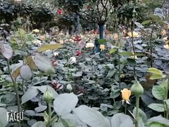 -堤角公园