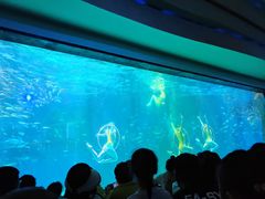 -海合安成都极地海洋公园