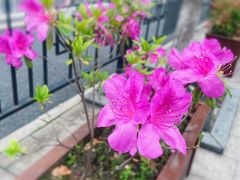 -闸弄口(地铁站)