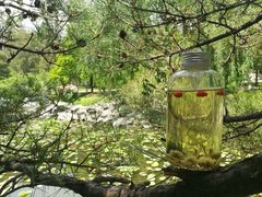 -馄饨侯(广渠门店)