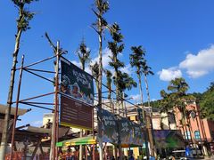 -重庆海昌加勒比海水世界