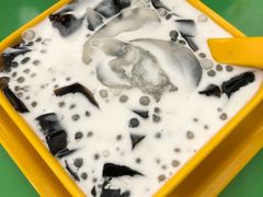 椰汁海底椰凉粉西米-爽爽王牌甜品(河背村店)