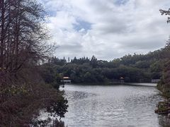 -深圳仙湖植物园