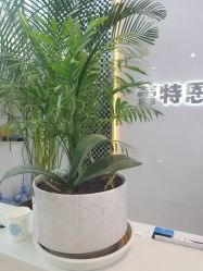 点击看大图 -痘敏医生专业祛痘·肌肤修复连锁
