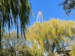 -济南国际园博园