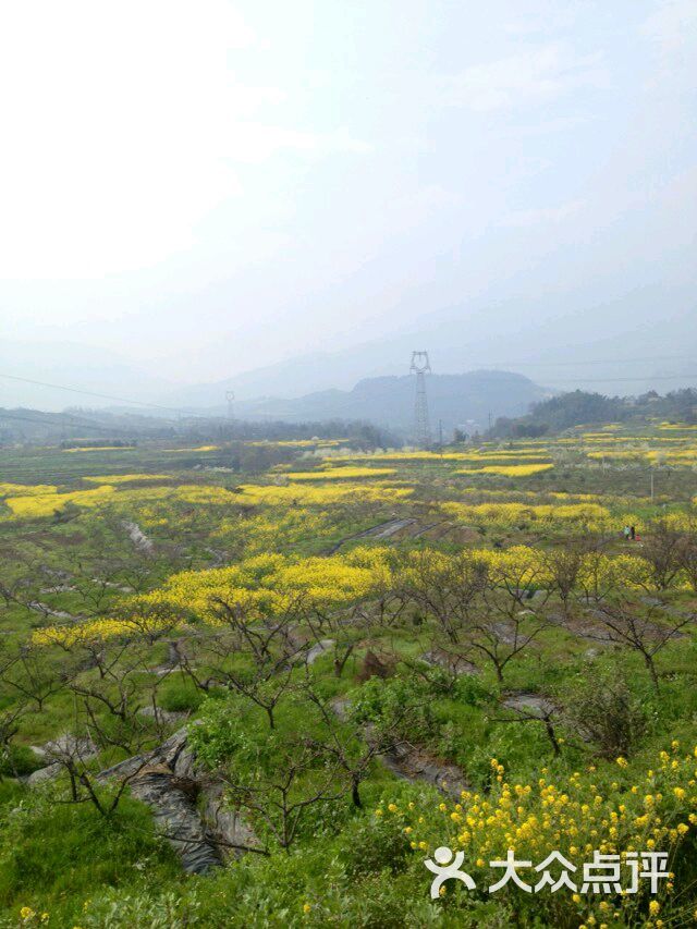 桃花山-图片-雅安周边游-大众点评网