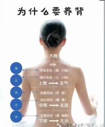 -YESIDO椰岛美容