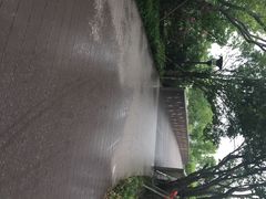 iphone_upload_pic-南翔镇银翔湖公园