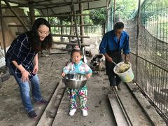 -洪湖家庭农场·团建·露营·会议
