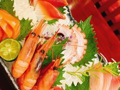 -宁波富力索菲特KOKO日本餐厅