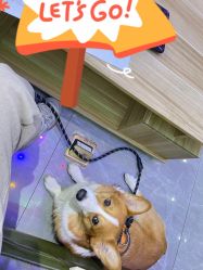 -宝诗护肤造型