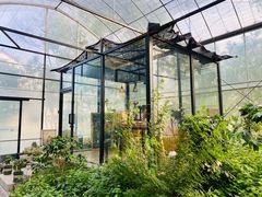 -MUSEO COFFEE咖啡博物馆