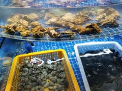-星伦多自助料理·涮烤一体(虹悦城店)