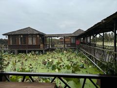 -军山湖云水间水上餐厅(进贤店)