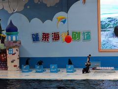 -蓬莱欧乐堡海洋极地世界