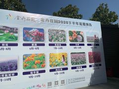 -金卉庄园