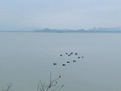 -深圳湾公园(南山区)