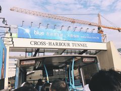-Big Bus Tours 敞篷观光巴士