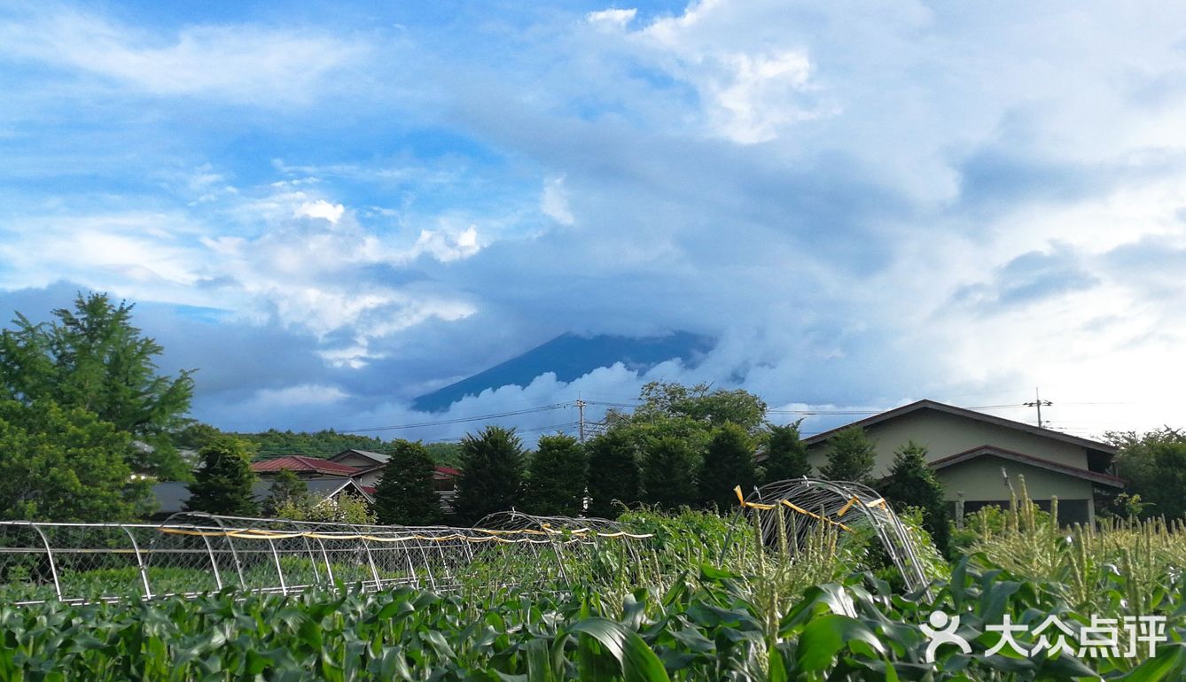 忍野八海，日本旅游的景点之一，离富士山不远
