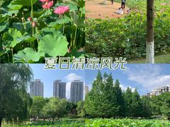 -沐仙湖湿地公园