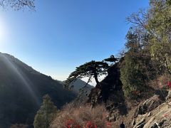 -泰山风景名胜区