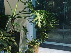 -CAFE'IN精品咖啡体验空间(小寨店)