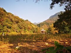 -广州市石门国家森林公园