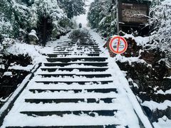 -武陵山森林公园