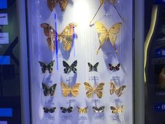 -吉林省自然博物馆