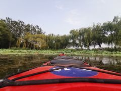 -WhaleSports户外水上运动俱乐部(朝阳公园店)