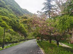 -少华山国家森林公园