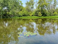 -溱湖国家湿地公园