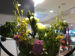 -宝鸡东道花鸟鱼虫市场(吉利花园商场店)