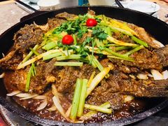 -老板恋上鱼(恒隆广场店)