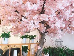 -汤里来温泉