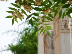 -北京石刻艺术博物馆(五塔寺)