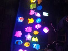 -大学城夜市