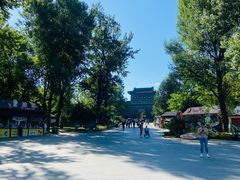 -老龙头景区