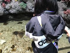 -杭州海底世界