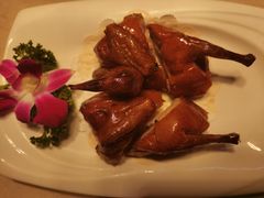 招牌乳鸽-虾饺妹·酒家(金碧店)