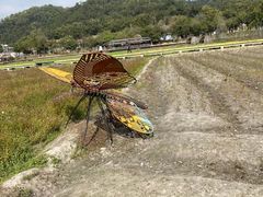 -红山村