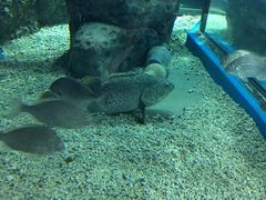 -福州罗源湾海洋世界旅游区