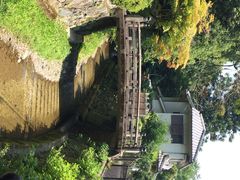 西芳寺-西芳寺(苔寺)