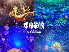 -海合安武汉极地海洋公园