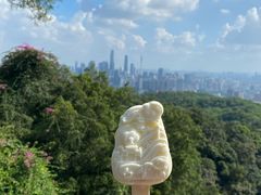 -广州市白云山风景名胜区
