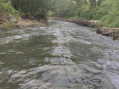 -天目湖松岭竹海漂流