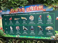 -广州长隆飞鸟乐园